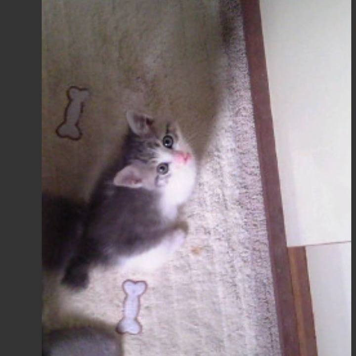 0195e481 6b7c 410c 864b 55461dd7262e 1549496343166