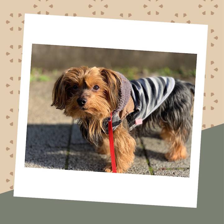 0195f2b5 a586 4bf0 b2a6 daa1599d12e7 1542173151210