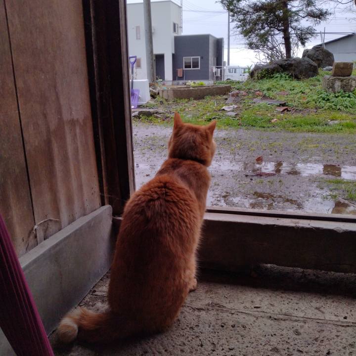 01960ae5 bb6d 4585 8d04 15c6de1cdca4 1670393483390