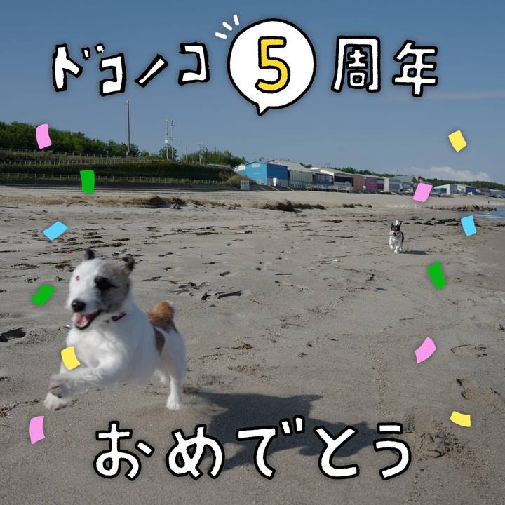 019695f9 a188 4e75 8338 a1080881cb7a 1622852572992