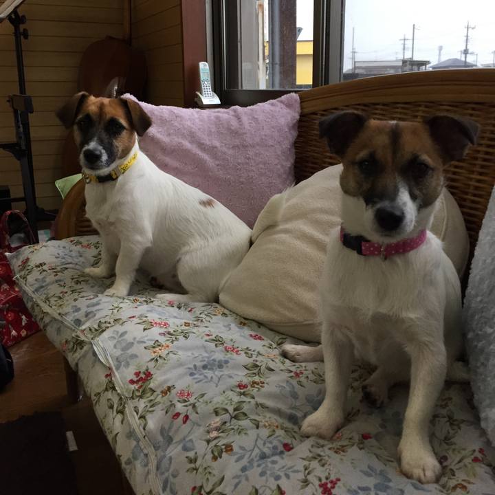 0196a2b2 160e 42ab a11e 3635820f22de 1508653016718