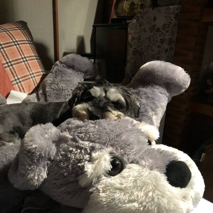 0196afd0 620a 45cb 9441 b593fc19cd6e 1632660960476