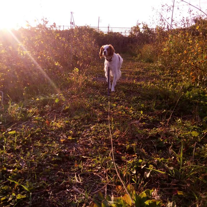 0196f730 e34b 4886 b204 c2b7e75c63e0 1512302375916