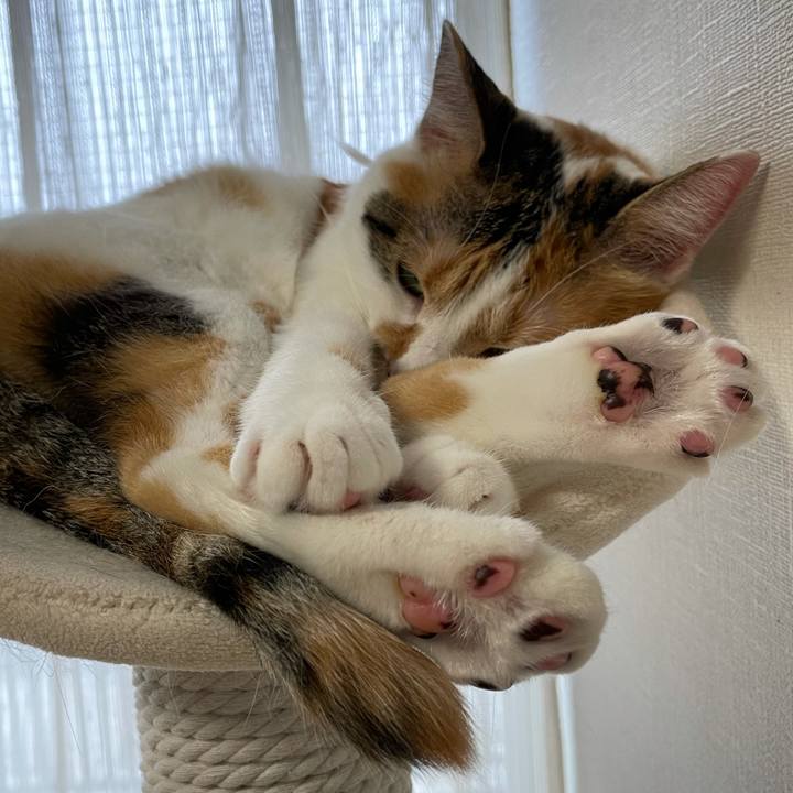 0197239c 8fe4 4586 9fd9 0ce8eedbf338 1630626054008