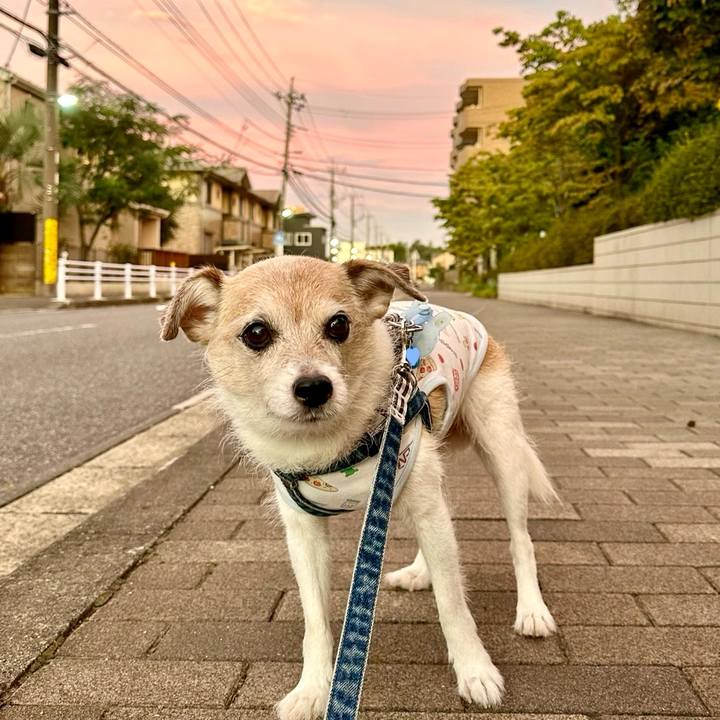 01973299 f440 4b65 a692 e4b2277eb115 1726878033332