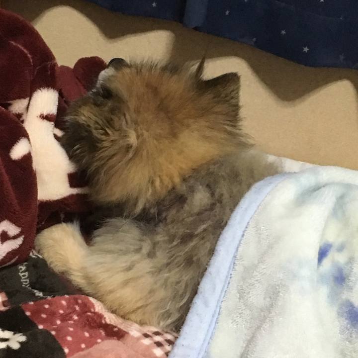 01976d83 516f 4fee 8a23 37a83fc1ac79 1583726761812