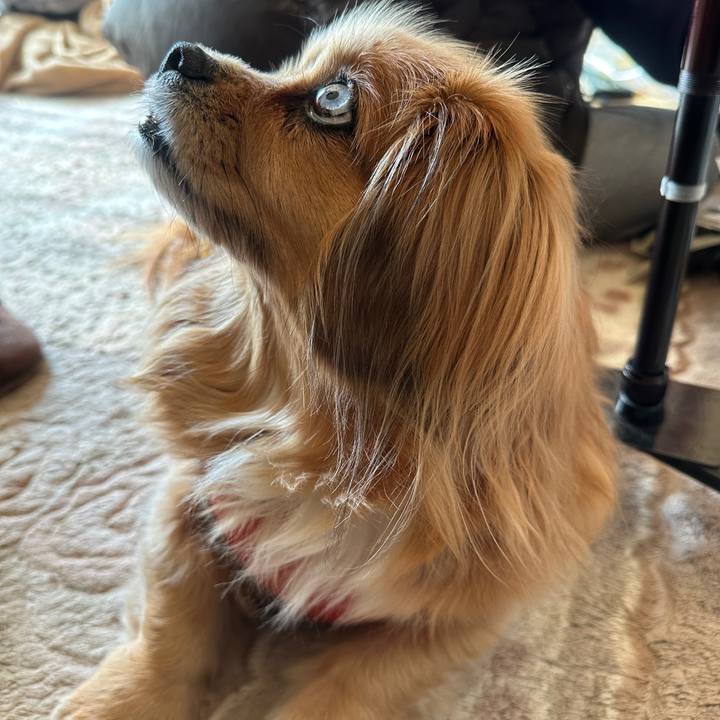 019779c4 ef7e 421d befd 7ac95efb9c8f 1678578970273