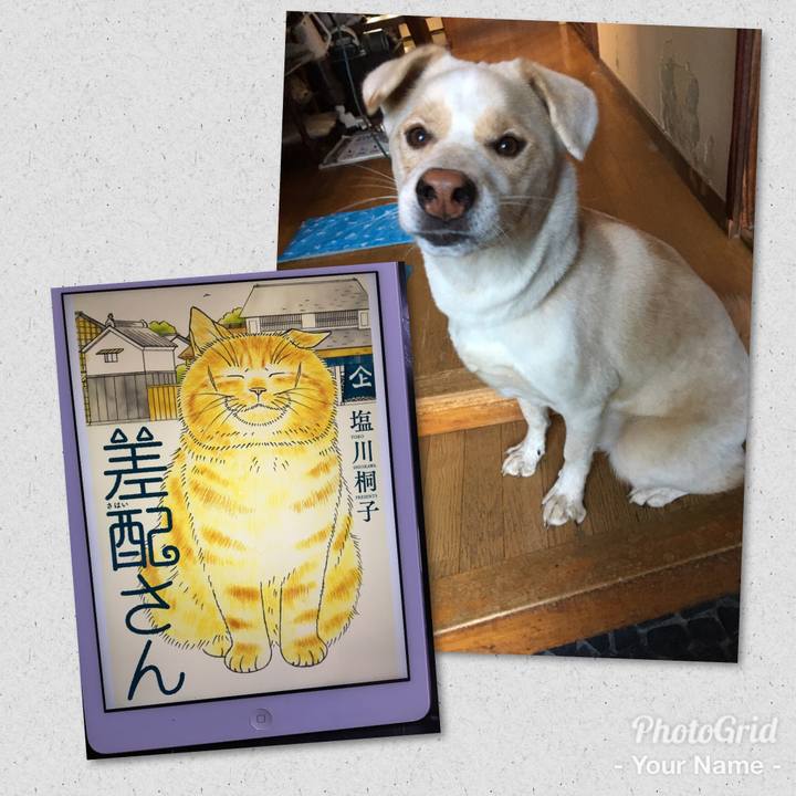 0197937d 13a6 458c ad0e fc96400f1fc9 1509076205437