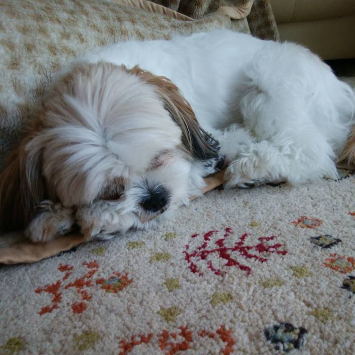 0197bcdc 218f 4998 b1e0 f154fa218d6d 1532327960877