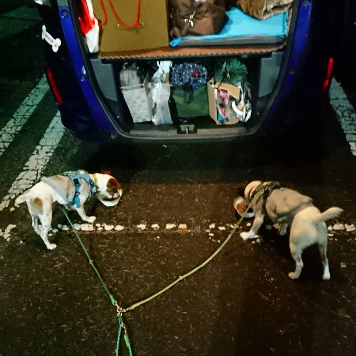 0197cefa d815 48c9 b398 48c1b49c6381 1604748310175