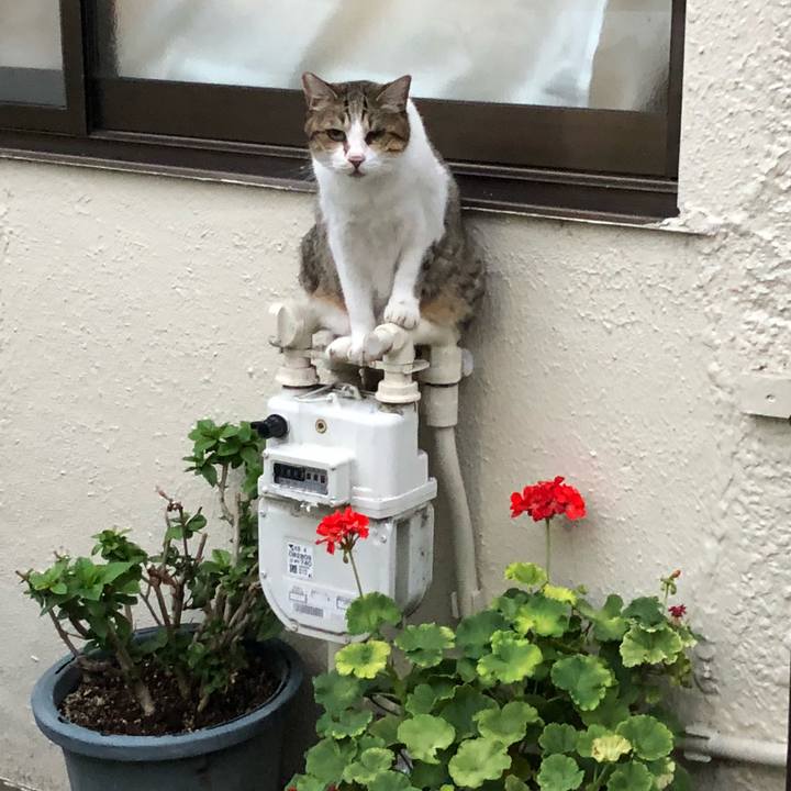 0197e7d2 1f77 4f18 a0b2 73c5bc381368 1536073687490