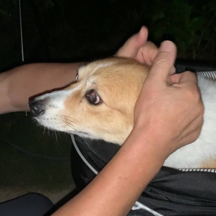 0197fc4f e201 4019 8975 4405ae0732b7 1693649729118