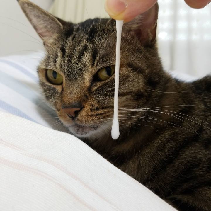 01981d92 7889 4db9 a552 bb2f180dbc0e 1569965716764