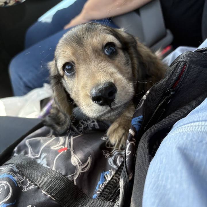 019832f2 4373 4dce ad11 3d1fd653dd2f 1758509614544