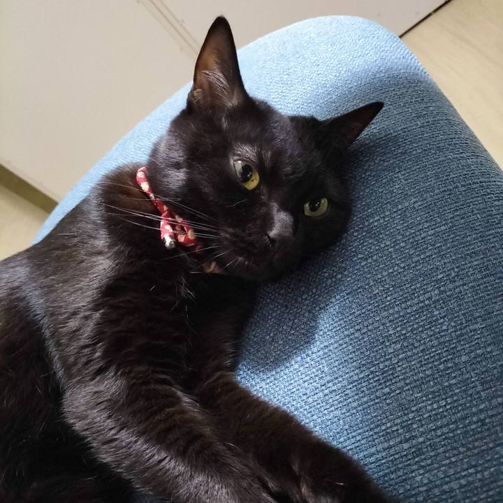 01987c89 2a61 41c4 95ad 731da3a19ecc 1684629904856