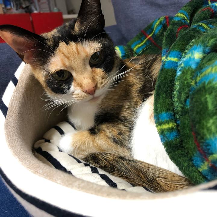 019887c3 234c 4633 b591 603ab2c4c7e5 1549407800477