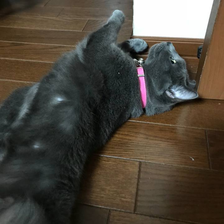 0198cd9e b284 4299 a501 e53cd070cbb2 1536306371046