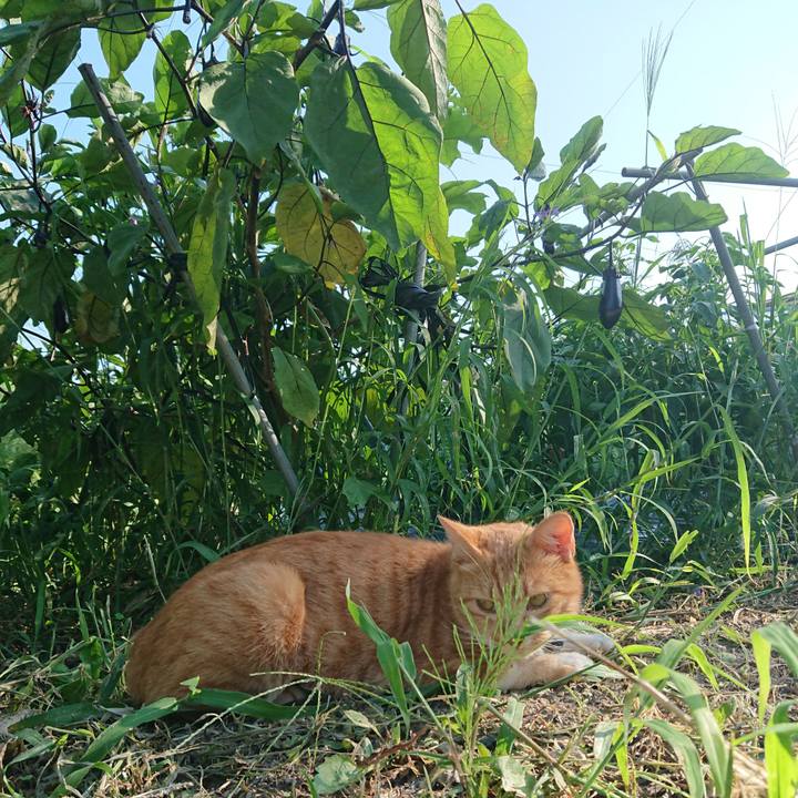 0198fe11 7660 4b88 a98d fe39200d1d46 1598253410080