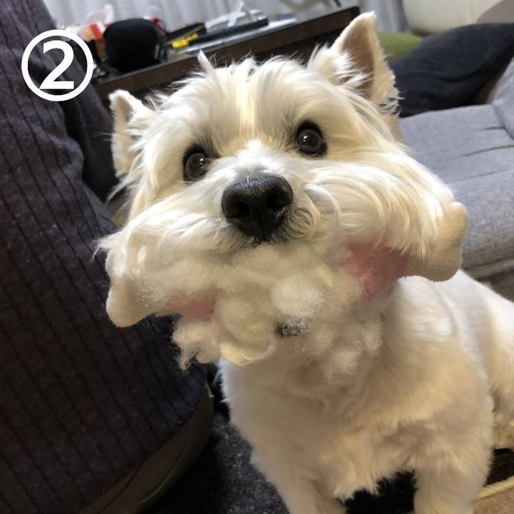 01990a39 339e 4d2d 8b1d 2f531e7265f0 1554034281179