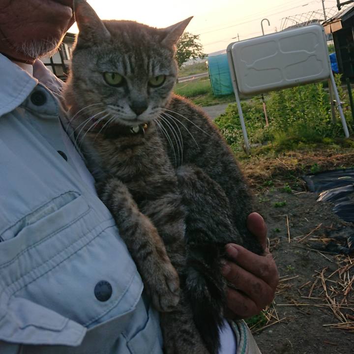 019926a9 6627 469a 8a3c 78256c223c61 1591301329321