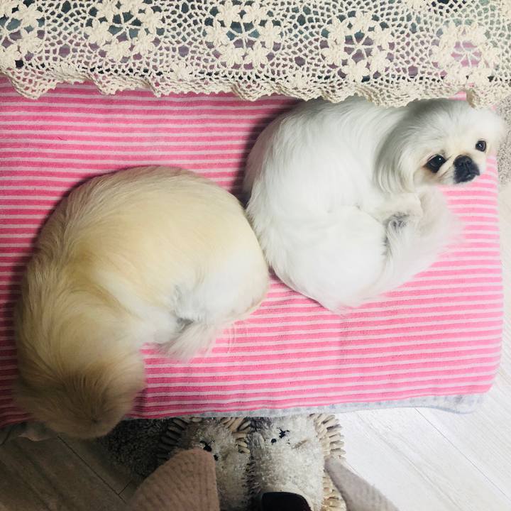 019927e6 4c3d 4c3a 8df3 4954d3b4af3a 1588166405241