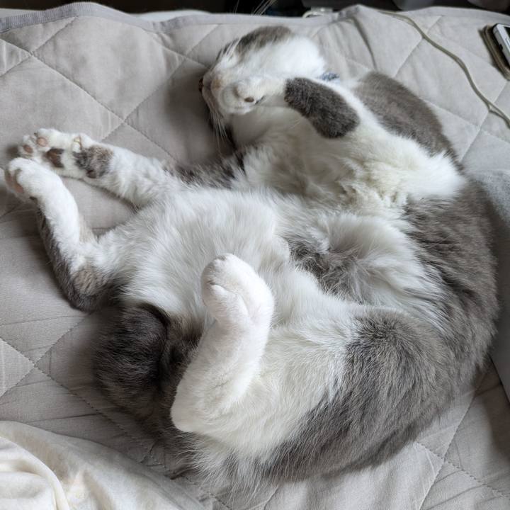 01992902 d47e 441c a4fe 2cccbf20e4b3 1754100365245