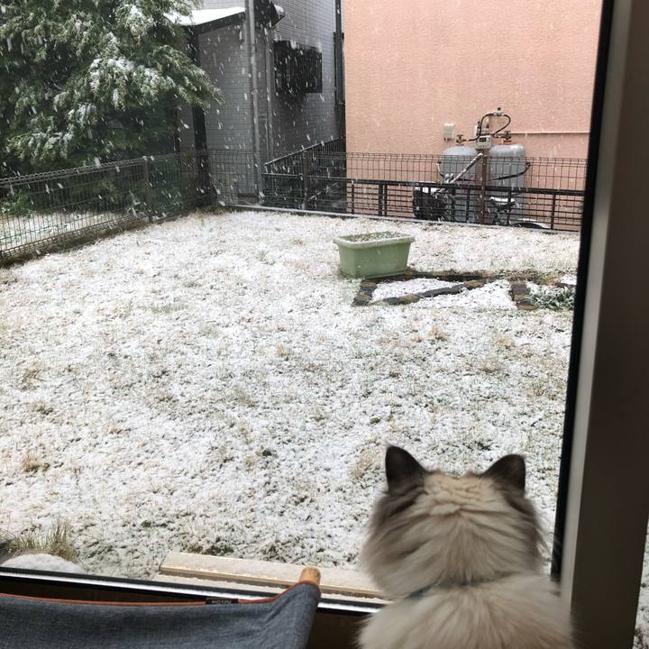 019935ba 0e48 49b2 8723 af06a2c1f29e 1585485735068