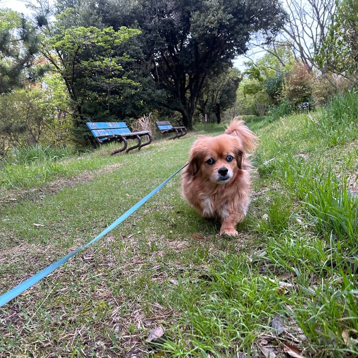 0199b15a 3994 43b1 8a12 034878d94b68 1713819360010