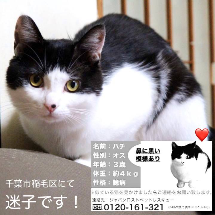 0199c311 3195 4538 937e 1a4a46857cf7 1581905404818