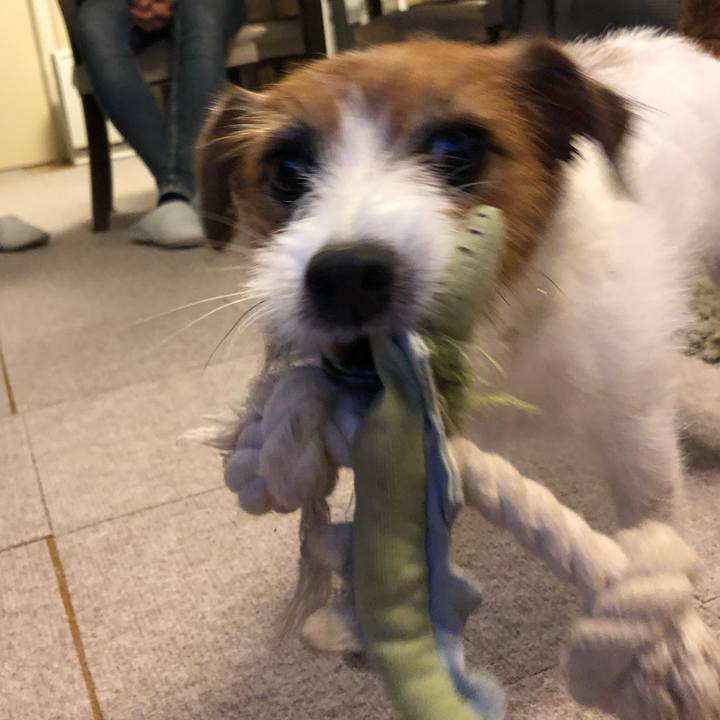 0199e740 1fd3 44a3 a211 04d45832b96f 1595541674605