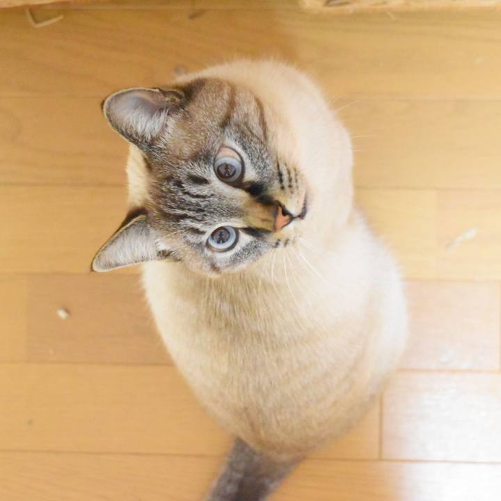 0199fe0a 1f29 4381 b17c 42012a1a2ffd 1514127540083