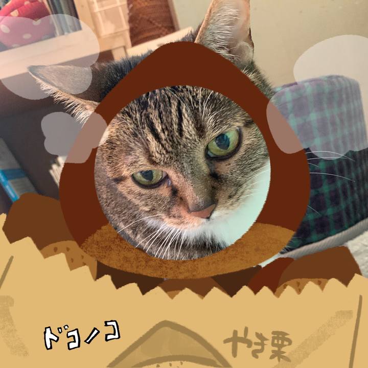 019a615b b679 4bf1 a932 7b56bf9f9321 1791844003681