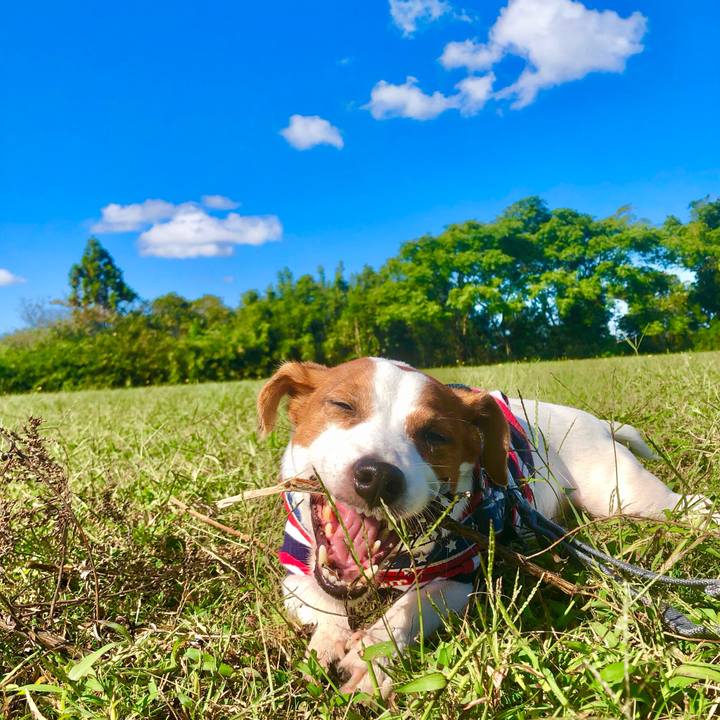 019a6b52 7a91 4ff6 98ca 0647692df69c 1762230200025