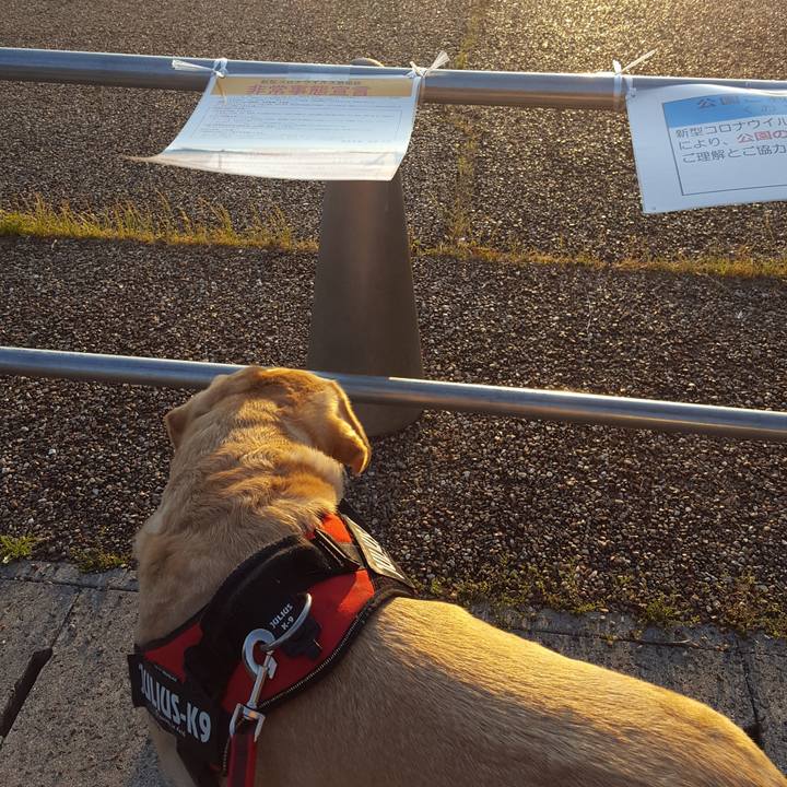 019a79ba 65d9 4e72 bb1d 61f14eacfa6d 1588071381104