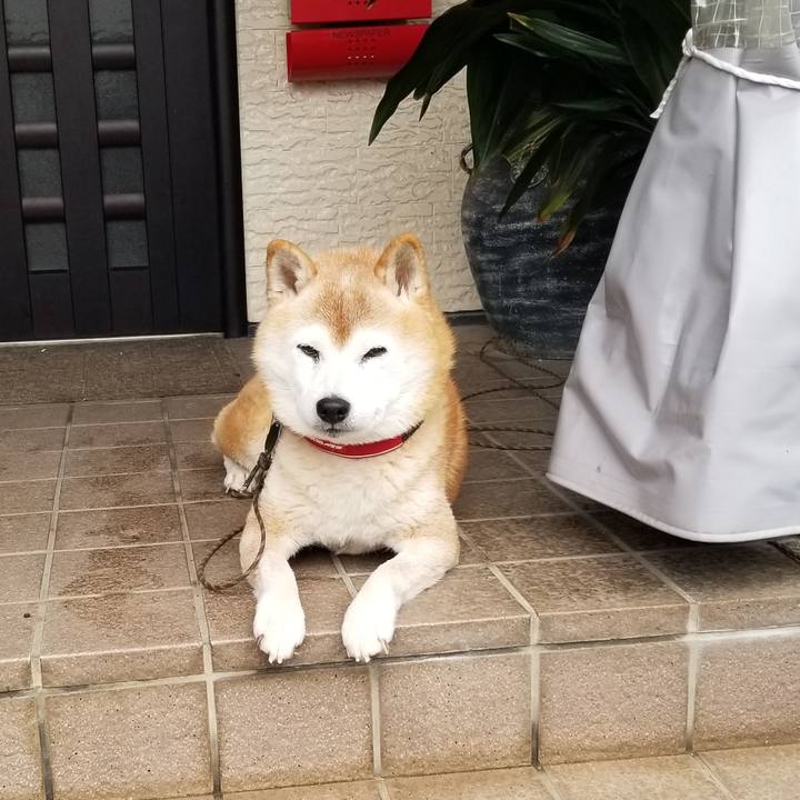 019ab158 9c21 45ac 8938 73ffb9912ecf 1732667806700