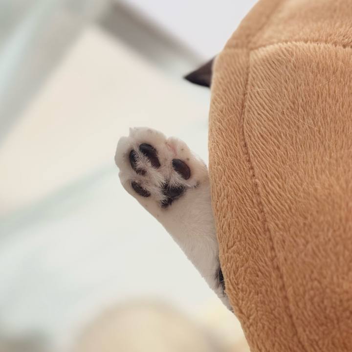 019ad1c7 c2a1 423b a382 c63db6a1103c 1764481755787