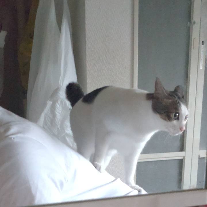 019adba6 6c35 4379 a5a4 c96f2e3f80c4 1695074772156