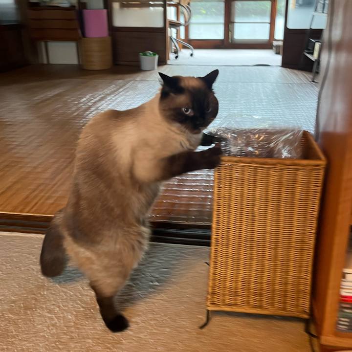 019af0da 6493 4169 b1b4 dcbb5124be70 1658902474602