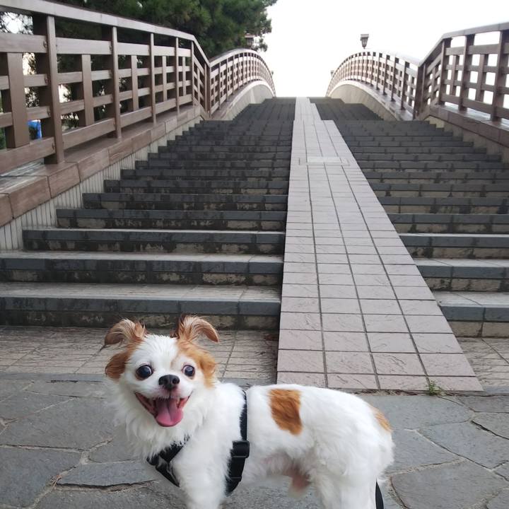 019b060f 991d 4e0c b251 336ed0e6e149 1597576856994