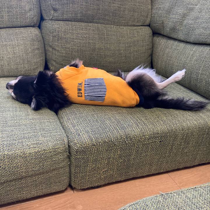 019b07ee 3e0b 48ea b86d 1b64d6a88671 1675608388164