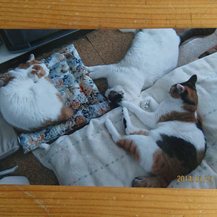 019b3e6f 059a 43c5 a9a4 784a56c16f79 1514695917904