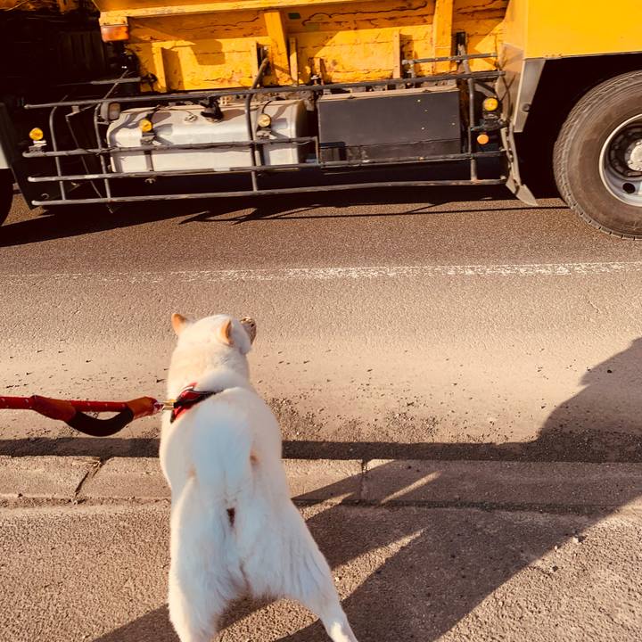 019ba073 84bc 4d13 bea9 f9f31c9ca75e 1680042615728