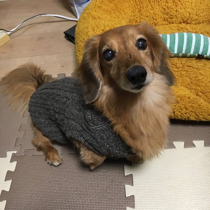 019bcf04 5b39 44ea b317 a58f85ca5867 1615209482234