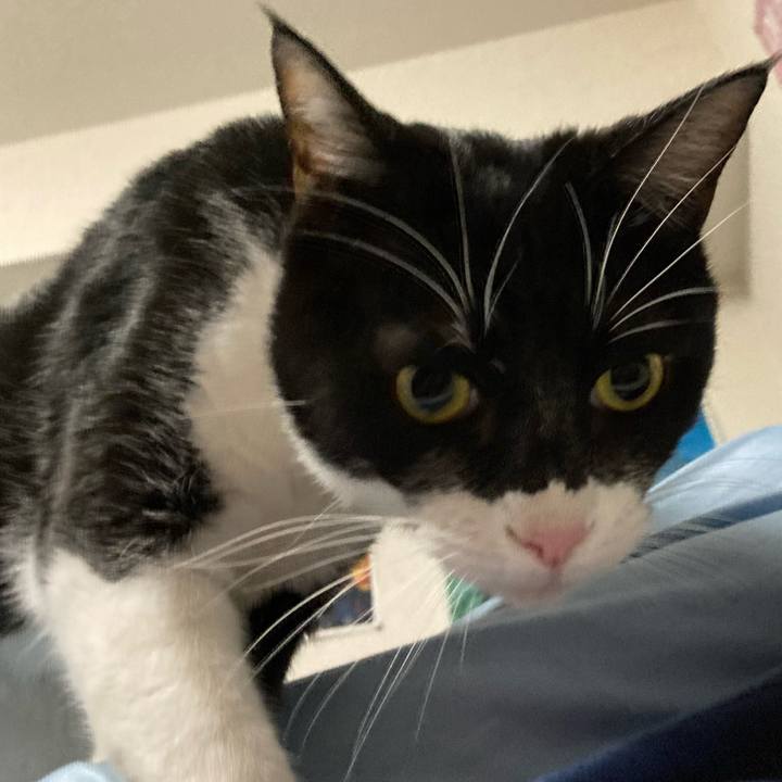 019be2a2 4d47 4f95 9ef4 2dcf139a24f0 1613807878194