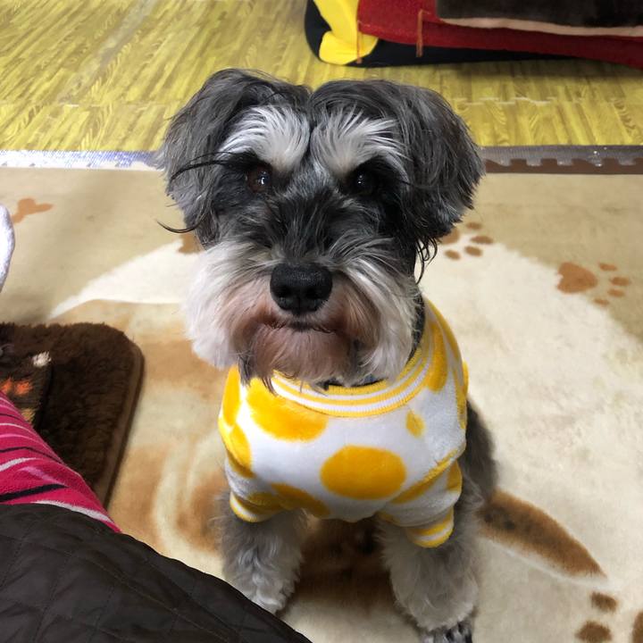 019be79d 6da1 4d92 a74f cedd5cd74aab 1546220469934