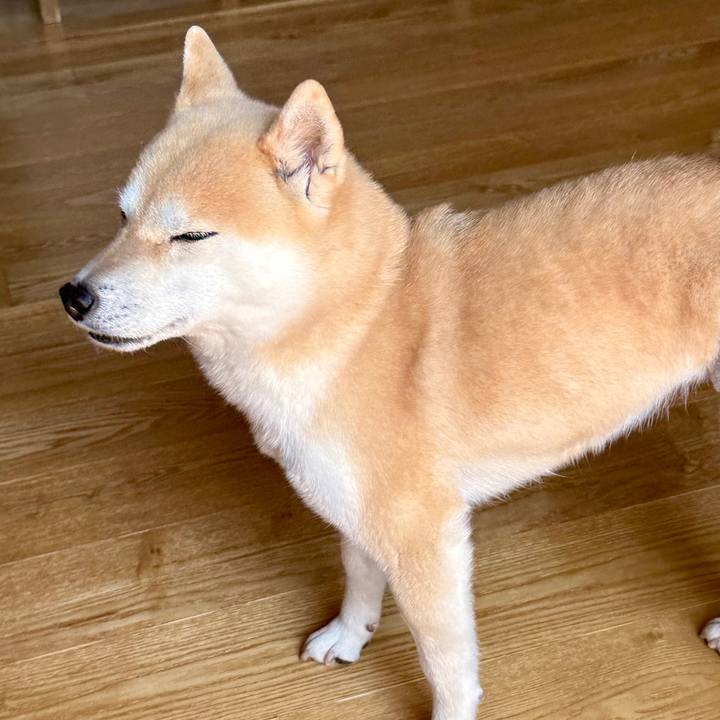 019c1ec3 3591 454f 9a53 c620e3f28b0f 1773624969952