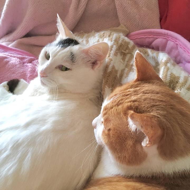 019c318f 813f 4652 b042 b4708dd61ffd 1584690234134