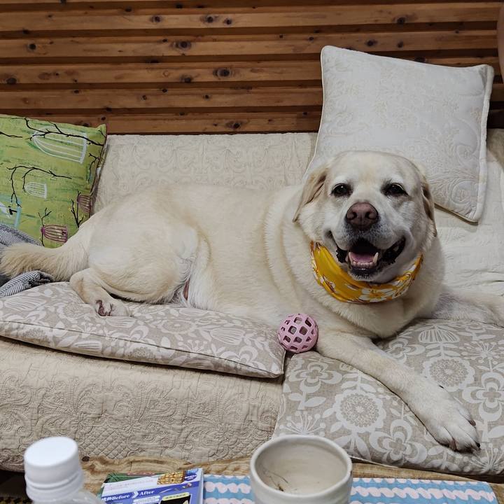 019c3ad5 b53a 41a3 ba82 88102e394be5 1754307373408