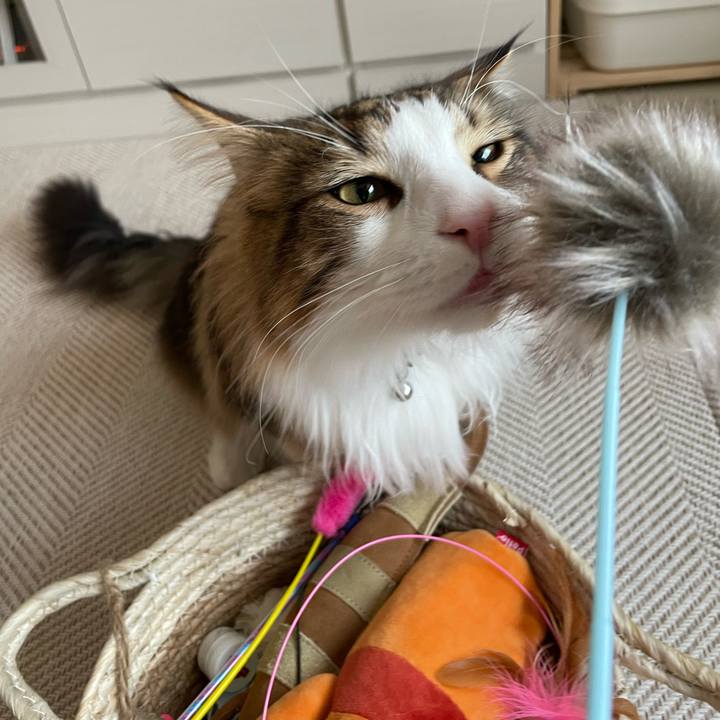 019c8909 befe 4f02 a2e2 20d6497f6446 1651616258877