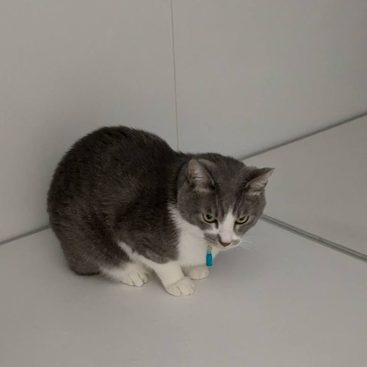 019cded2 55da 423b a9a0 0c88716c9582 1736806133568